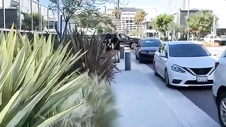 Rara knupps y ryan reid