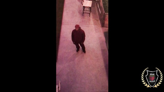 XXX Star Fantasy | Jaylene Rio