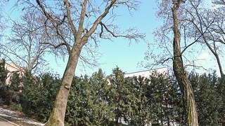 Amalia Davis - Chlorophyll Chase (06.03.2025) rq