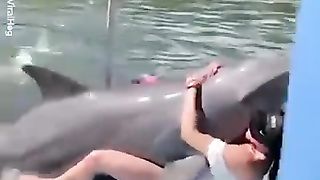 Zoo Sex With Dolphin (Joke) :)) xxx