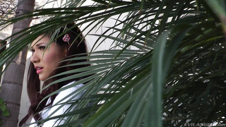 nacho vidal   vs eva phenix    classic rare