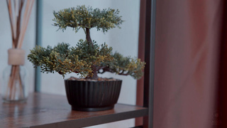 Relaxing Massage By Yolana To Liza