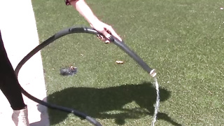 Lesbians having fun together 1303