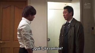 ADN-165: Una Relación Prohibida (Saeko Matsushita) 2 video