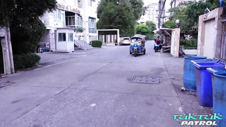 TTP - busty thai Akita