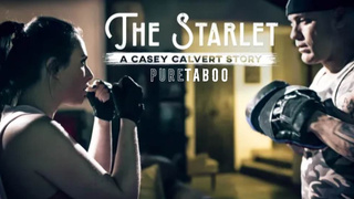 The Starlet: A Casey Calvert Story