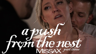 A Push From the Nest – Part 3 - Dee Williams