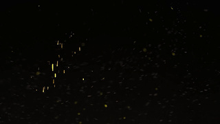 Stepbrother Teaches A Sex Lesson To Her Sister