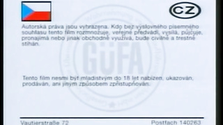 Varios anal en el coche. Max Hardcore