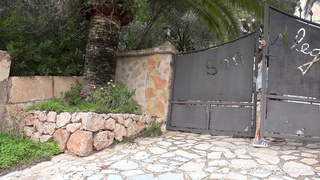 German MILF Sophie Logan drains his Balls